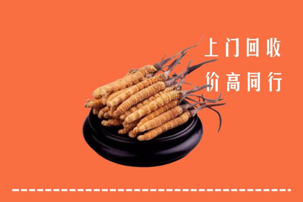 高价求购：阳泉回收散虫草