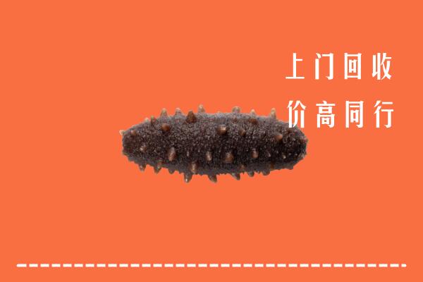 高价求购：阳泉回收海参